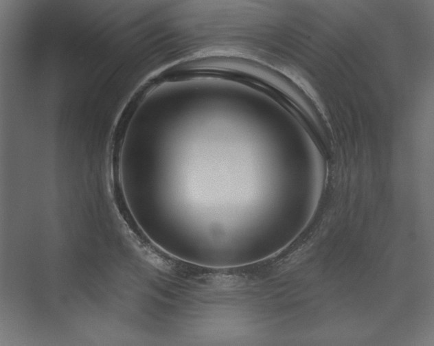 X0000073990984200608211343