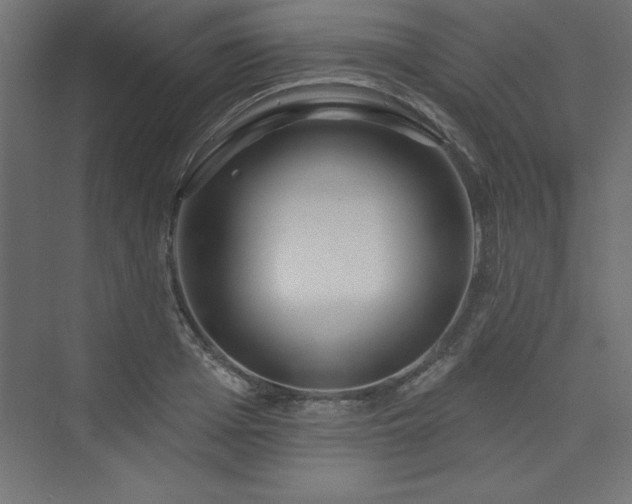 X0000073990985200608211343