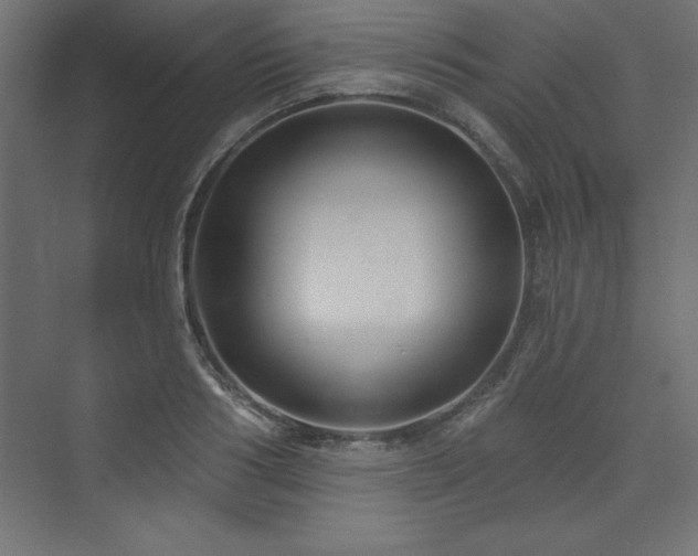 X0000073990986200608211343