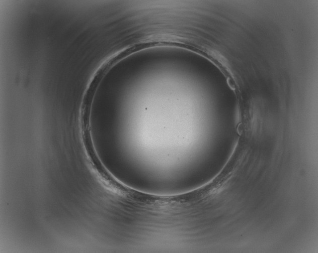 X0000073990987200608211343