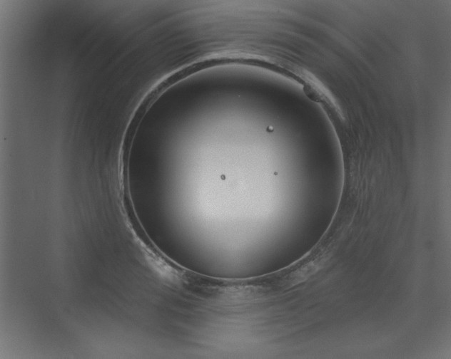 X0000073990988200608211343