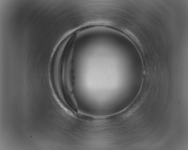 X0000073990989200608211343