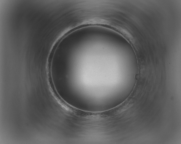 X0000073990990200608211343