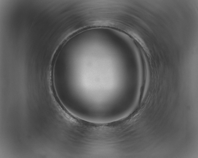 X0000073990992200608211343