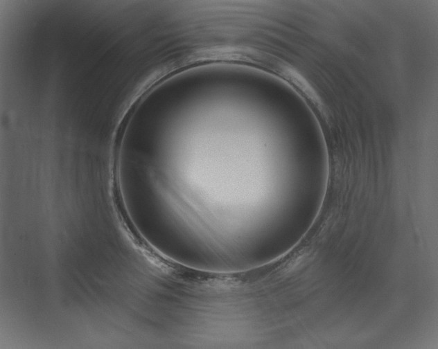 X0000073990994200608211343