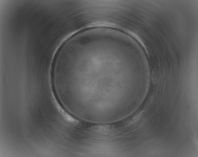 X0000073990995200608211343