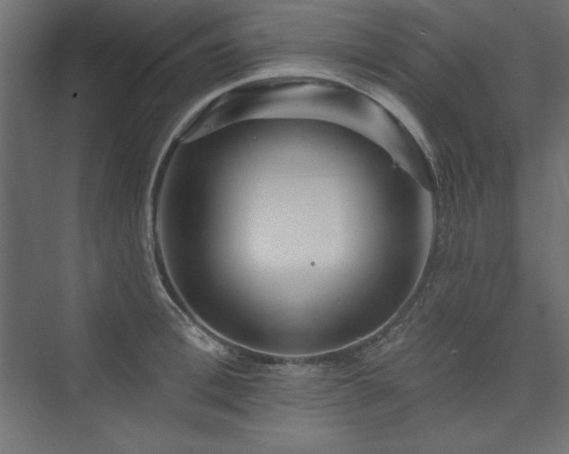 X0000073990996200608211343