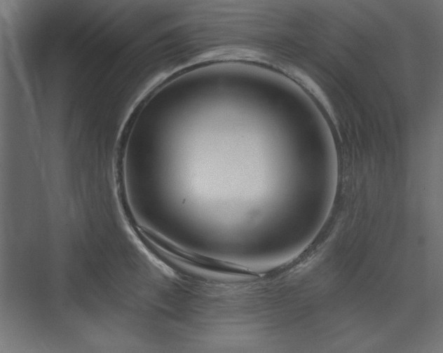 X0000073990997200608211343