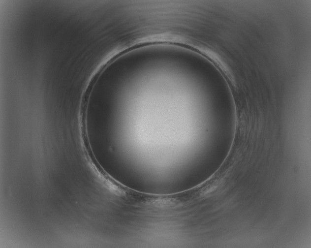 X0000073990998200608211343