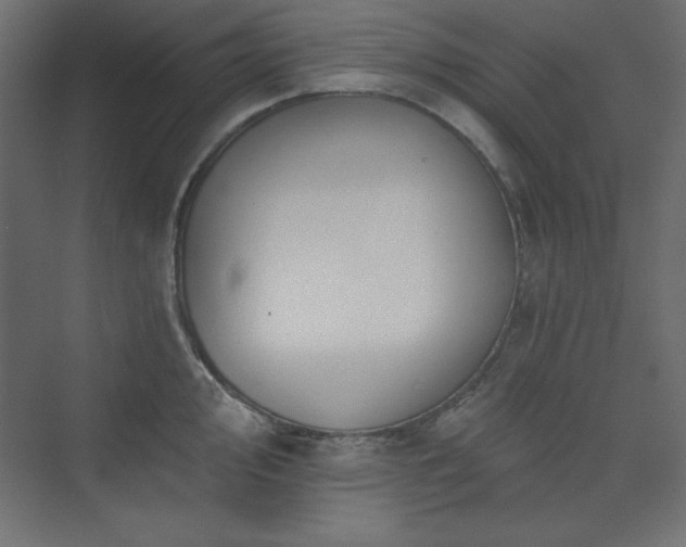 X0000073991000200608211343