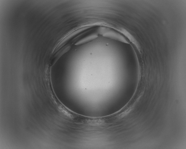 X0000073991001200608211343