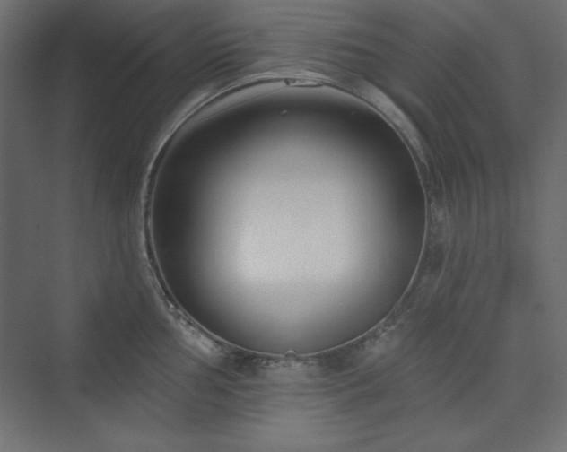 X0000073991002200608211343