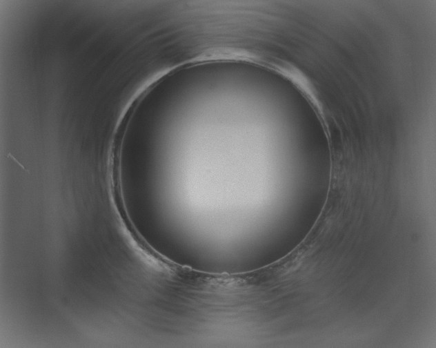 X0000073991003200608211343