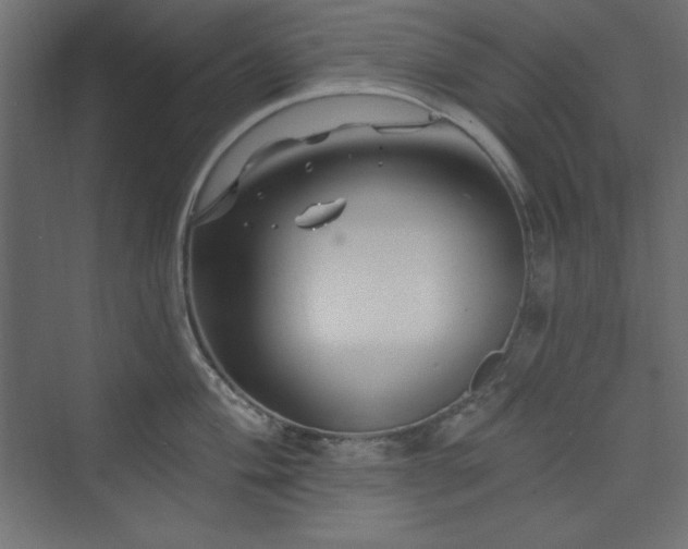 X0000073991004200608211343