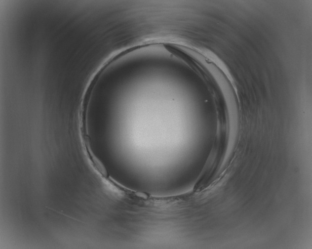 X0000073991005200608211343