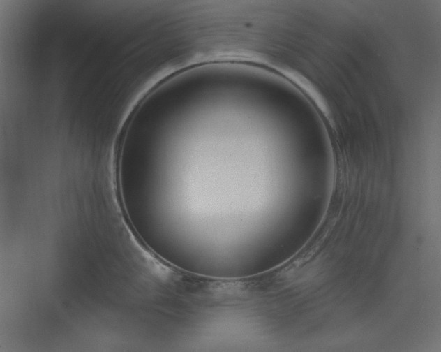 X0000073991006200608211343