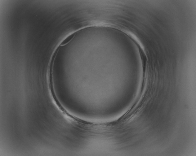 X0000073991007200608211343