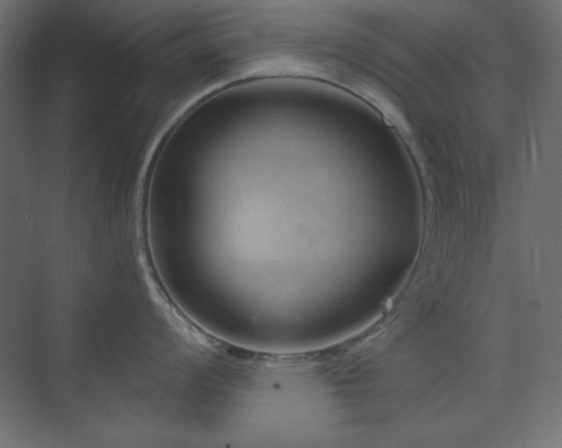 X0000073991008200608211343