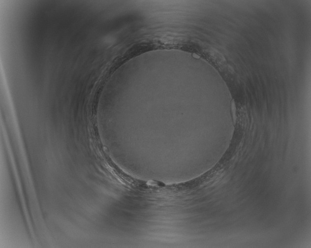 X0000073991009200608211342