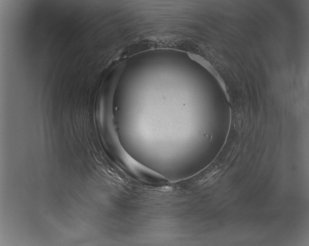 X0000073991010200608211342