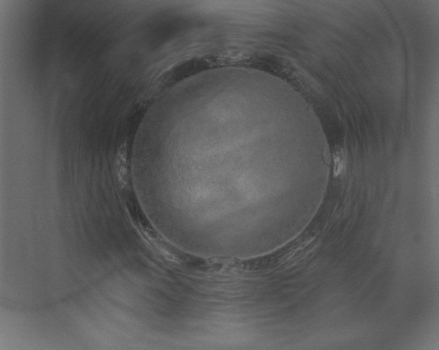 X0000073991011200608211342