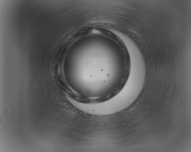 X0000073991014200608211342