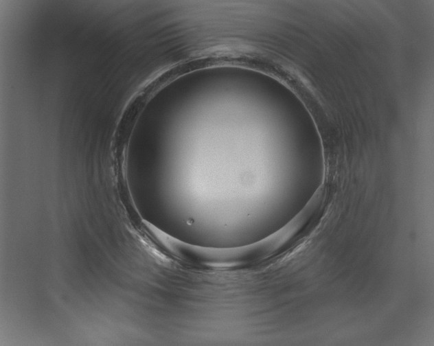 X0000073991018200608211342