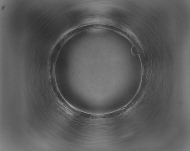 X0000073991019200608211342