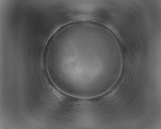 X0000073991023200608211342