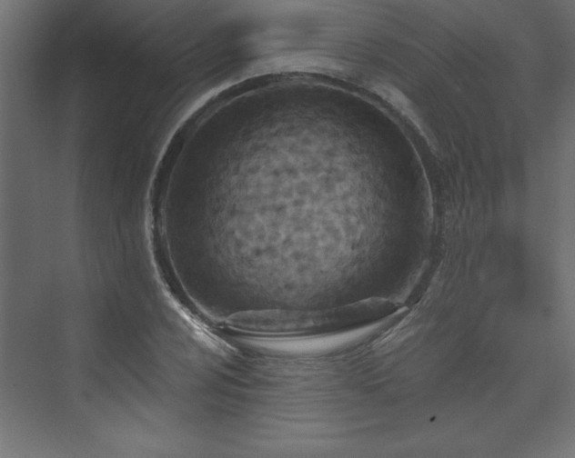 X0000073991024200608211342