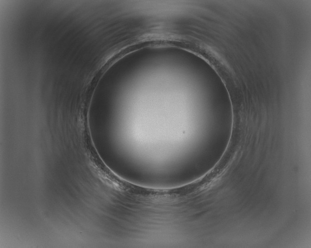 X0000073991025200608211342