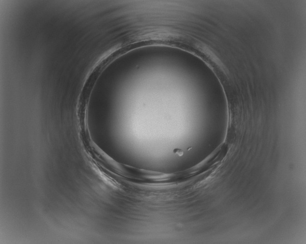 X0000073991026200608211342