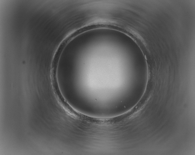 X0000073991029200608211342