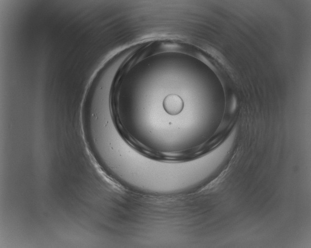 X0000073991030200608211342