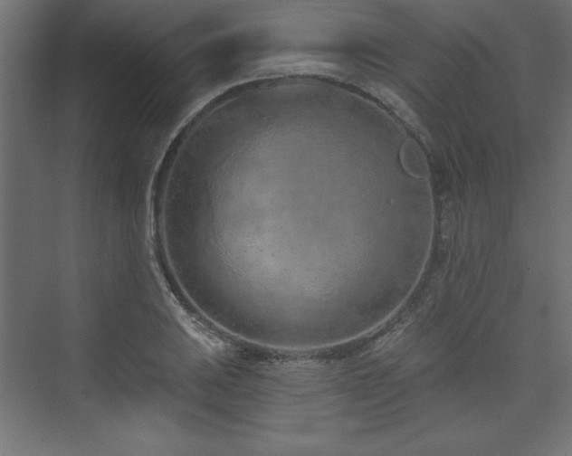 X0000073991031200608211342