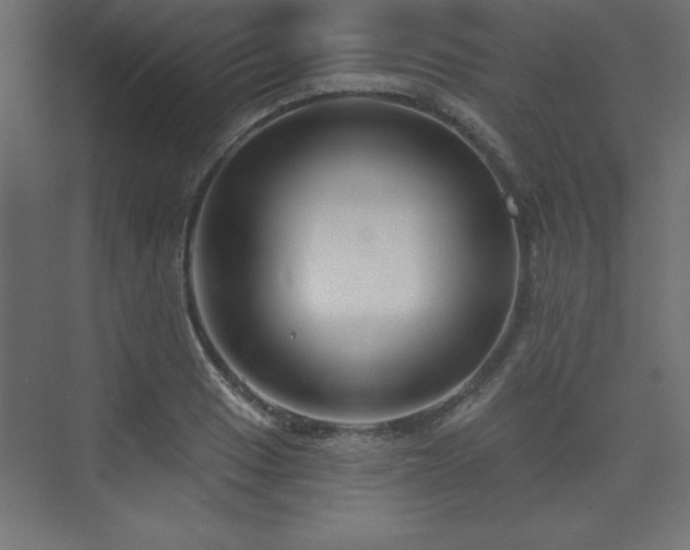 X0000073991033200608211342