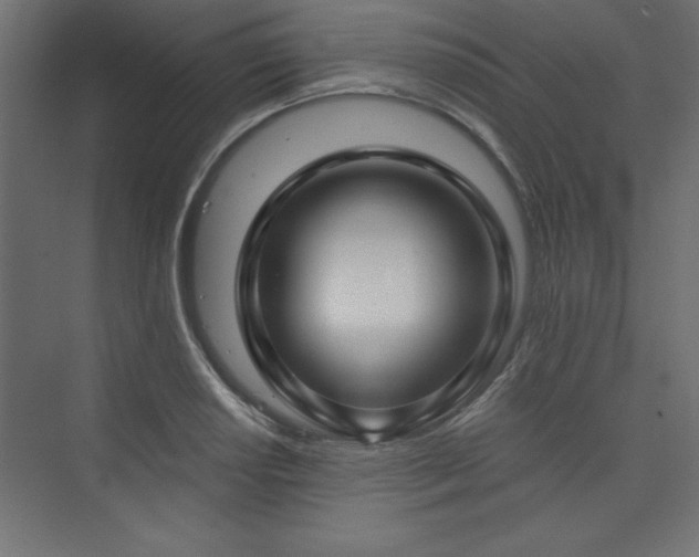 X0000073991034200608211342