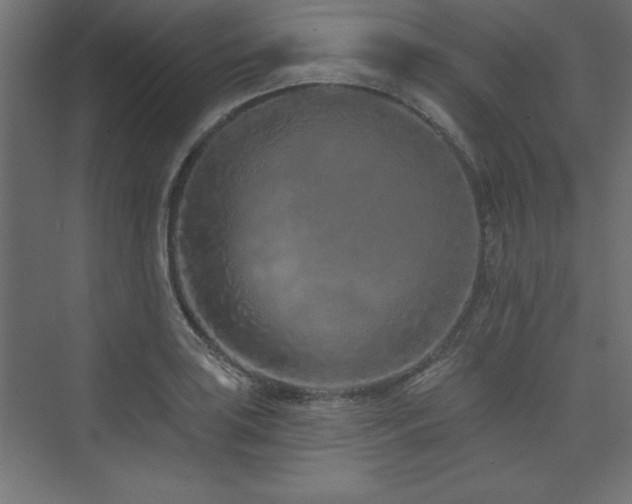 X0000073991035200608211343