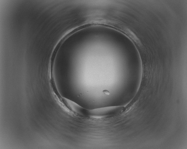 X0000073991036200608211343