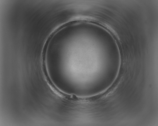 X0000073991037200608211343