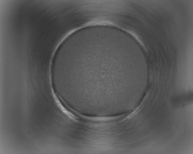 X0000073991038200608211343