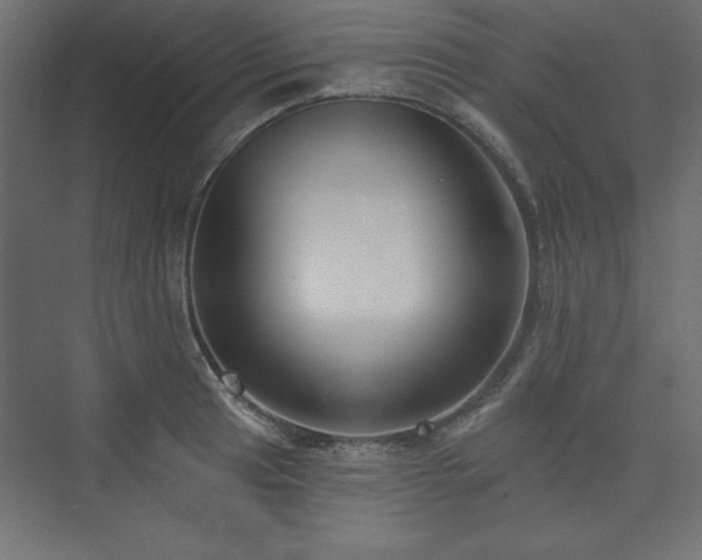 X0000073991041200608211343