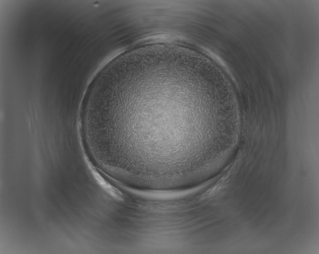 X0000073991042200608211343