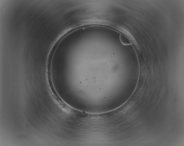 X0000073991043200608211343