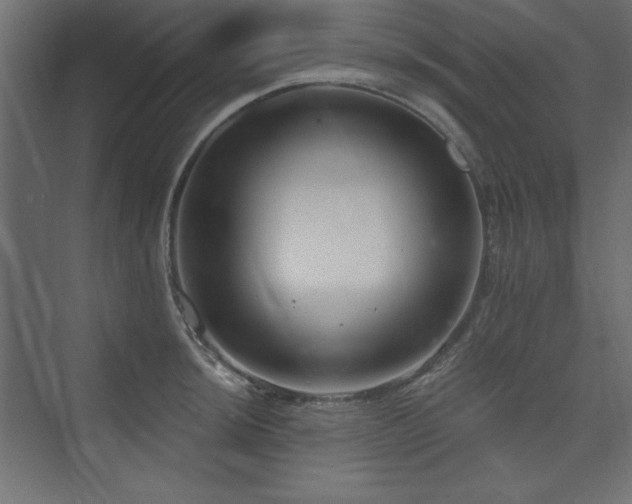 X0000073991044200608211343