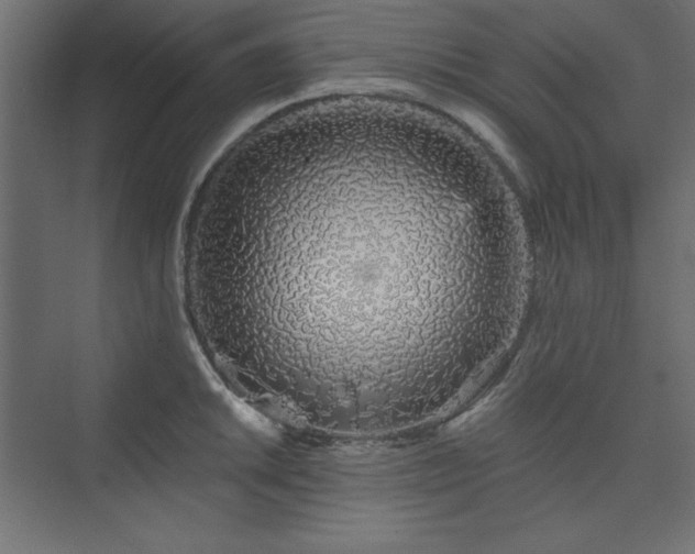 X0000073991046200608211343