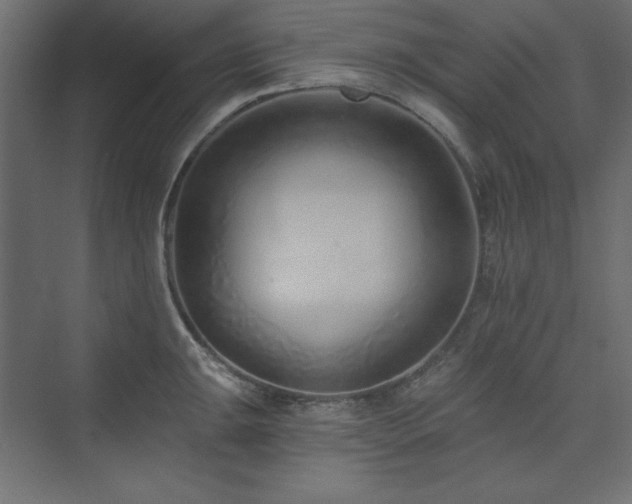 X0000073991047200608211343