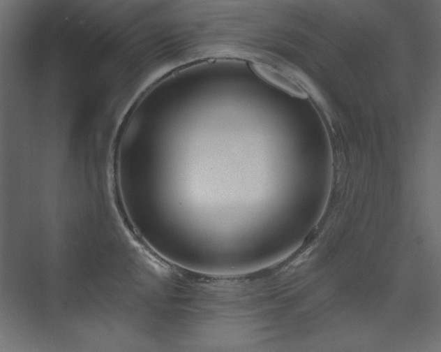 X0000073991048200608211343