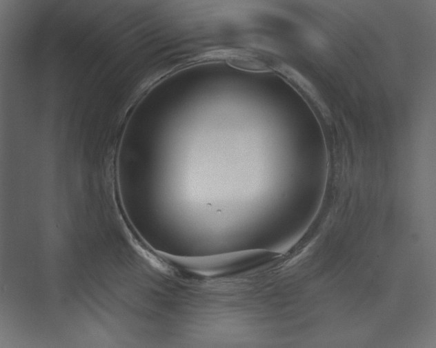 X0000073991049200608211343