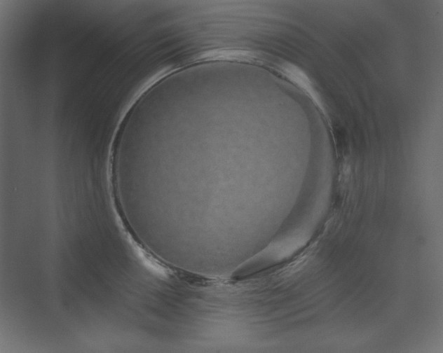 X0000073991050200608211343